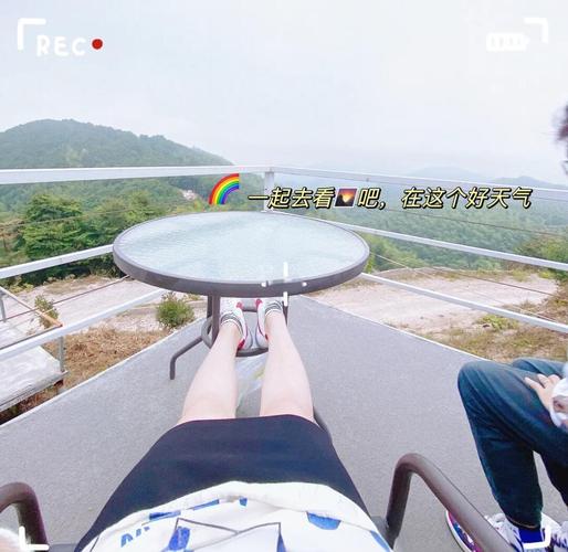 相亲节目选择在线观看_我的选择相亲节目_相亲节目选择视频