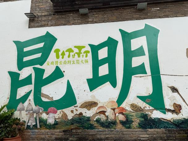 昆明哪好玩_昆明去哪儿玩_昆明玩的