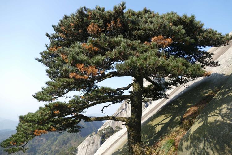 安庆怎么去天柱山?自驾/大巴/火车全攻略,2小时直达不踩坑